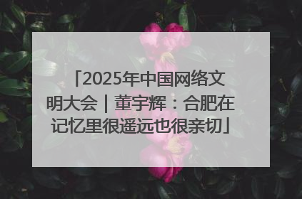 2025年中国网络文明大会｜董宇辉：合肥在记忆里很遥远也很亲切