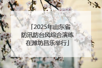 2025年山东省防汛防台风综合演练在潍坊昌乐举行