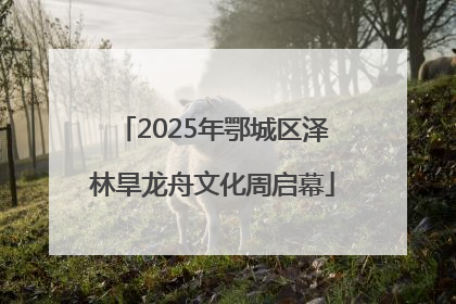 2025年鄂城区泽林旱龙舟文化周启幕