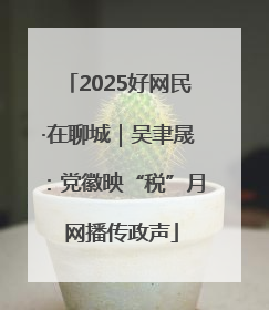 2025好网民·在聊城｜吴聿晟：党徽映“税”月 网播传政声