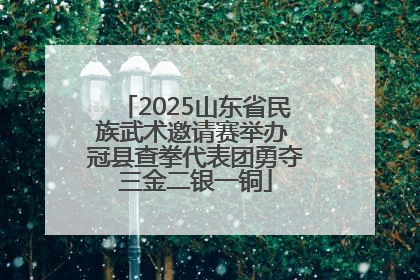 2025山东省民族武术邀请赛举办 冠县查拳代表团勇夺三金二银一铜