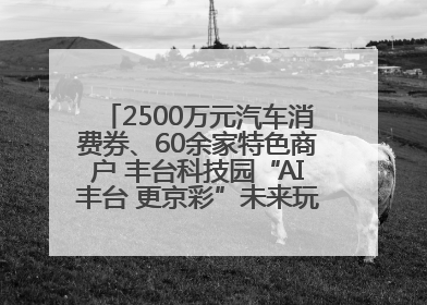 2500万元汽车消费券、60余家特色商户 丰台科技园“AI丰台 更京彩”未来玩家市集活动正式开幕