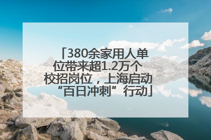 380余家用人单位带来超1.2万个校招岗位，上海启动“百日冲刺”行动