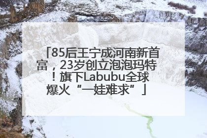 85后王宁成河南新首富，23岁创立泡泡玛特！旗下Labubu全球爆火“一娃难求”