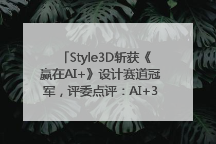 Style3D斩获《赢在AI+》设计赛道冠军，评委点评：AI+3D技术世界第一