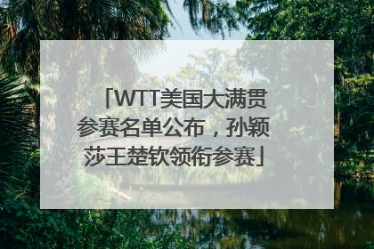 WTT美国大满贯参赛名单公布，孙颖莎王楚钦领衔参赛